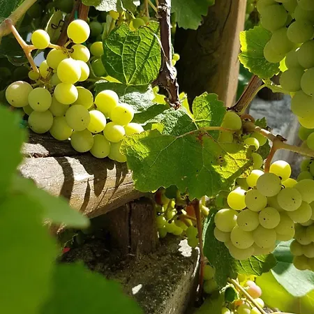 Villa Palios Stathmos Miliész