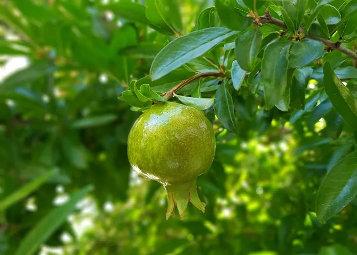 Palios Stathmos Villa *