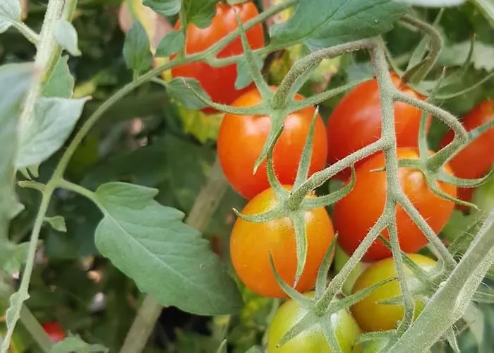 Villa Palios Stathmos