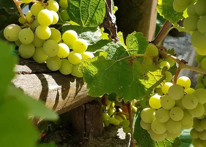 Villa Palios Stathmos Miléai