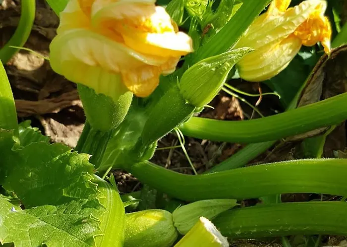 Palios Stathmos Miléai